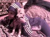 Собаки, щенята Сибірський хаськи, ціна 200 Грн., Фото