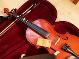 Музика,  Музичні інструменти Струнні, ціна 1800 Грн., Фото