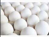 Продовольство Яйця, ціна 1.60 Грн., Фото