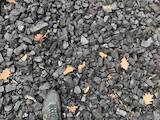 Дрова, брикеты, гранулы Уголь, цена 3999 Грн./т., Фото