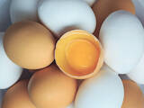 Продовольство Яйця, ціна 1.80 Грн., Фото