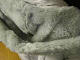 Женская одежда Пальто, цена 399 Грн., Фото