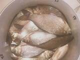Продовольство Риба і рибопродукти, ціна 40 Грн./кг., Фото