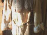 Женская одежда Шубы, цена 2000 Грн., Фото
