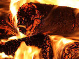 Дрова, брикеты, гранулы Брикеты, цена 1800 Грн., Фото
