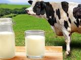 Продовольствие Молочная продукция, Фото