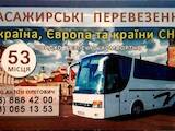 Аренда транспорта Автобусы, цена 500 Грн., Фото
