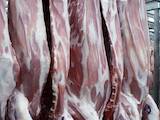 Продовольствие Свежее мясо, цена 75 Грн./кг., Фото