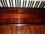 Музыка,  Музыкальные инструменты Клавишные, цена 52000 Грн., Фото
