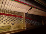Музыка,  Музыкальные инструменты Клавишные, цена 52000 Грн., Фото