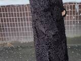 Женская одежда Шубы, цена 2500 Грн., Фото