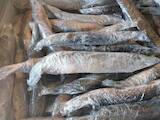 Продовольствие Рыба и рыбопродукты, цена 65 Грн./кг., Фото