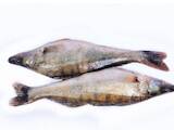 Продовольствие Рыба и рыбопродукты, цена 11 Грн./кг., Фото