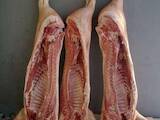 Продовольство Свіже м'ясо, ціна 55 Грн./кг., Фото