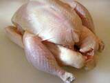 Продовольствие Мясо птицы, цена 38 Грн./кг., Фото