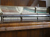 Музыка,  Музыкальные инструменты Клавишные, цена 10000 Грн., Фото