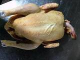 Продовольство М'ясо птиці, ціна 90 Грн./кг., Фото