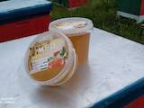 Продовольствие Мёд, цена 60 Грн./л., Фото
