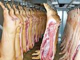 Продовольство Свіже м'ясо, ціна 65 Грн./кг., Фото
