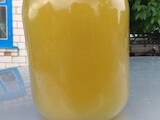 Продовольствие Мёд, цена 45 Грн./кг., Фото