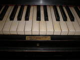 Музика,  Музичні інструменти Клавішні, ціна 25000 Грн., Фото