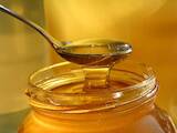 Продовольствие Мёд, цена 60 Грн./кг., Фото
