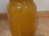 Продовольствие Мёд, цена 100 Грн./л., Фото