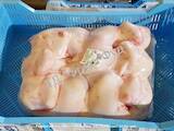 Продовольствие Мясо птицы, цена 30 Грн./кг., Фото