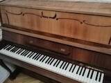 Музика,  Музичні інструменти Клавішні, ціна 3200 Грн., Фото