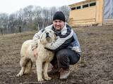 Собаки, щенята Польська підхаланська вівчарка, ціна 5000 Грн., Фото