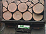 Дрова, брикети, гранули Дрова, ціна 730 Грн., Фото