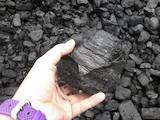 Дрова, брикеты, гранулы Уголь, цена 2850 Грн., Фото