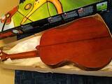 Музика,  Музичні інструменти Струнні, ціна 2500 Грн., Фото