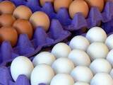 Продовольство Яйця, ціна 20 Грн., Фото
