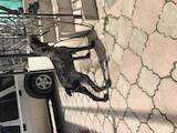 Собаки, щенята Німецька жорсткошерста лягава, ціна 4500 Грн., Фото