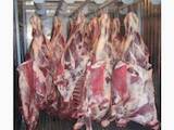 Продовольствие Свежее мясо, цена 78 Грн./кг., Фото