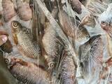 Продовольство Риба і рибопродукти, ціна 50 Грн./кг., Фото
