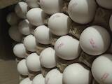 Продовольствие Яйца, цена 25 Грн., Фото