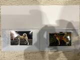 Собаки, щенки Западно-Сибирская лайка, цена 3000 Грн., Фото