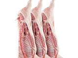 Продовольство Свіже м'ясо, ціна 100 Грн./кг., Фото