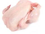 Продовольствие Мясо птицы, цена 59 Грн./кг., Фото