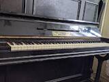 Музика,  Музичні інструменти Клавішні, ціна 13000 Грн., Фото