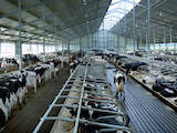 Тваринництво Обладнання для корівників, ціна 3500 Грн., Фото