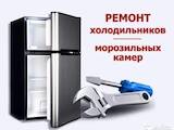 Побутова техніка,  Кухонная техника Холодильники, ціна 150 Грн., Фото