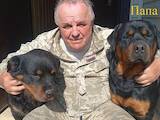 Собаки, щенята Ротвейлер, ціна 6500 Грн., Фото