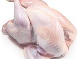 Продовольство М'ясо птиці, ціна 69 Грн./кг., Фото