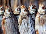 Продовольство Риба і рибопродукти, ціна 55 Грн./кг., Фото