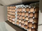 Продовольствие Яйца, цена 27 Грн., Фото
