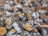 Дрова, брикеты, гранулы Дрова колотые, цена 3200 Грн./m3, Фото