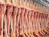 Продовольствие Свежее мясо, цена 1 Грн./кг., Фото